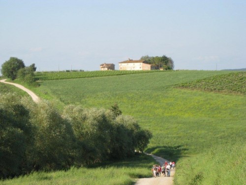 Toscane mai-juin 2012 176.jpg