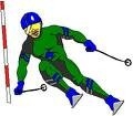 ski.jpg