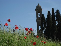 Toscane mai-juin 2012 171.jpg